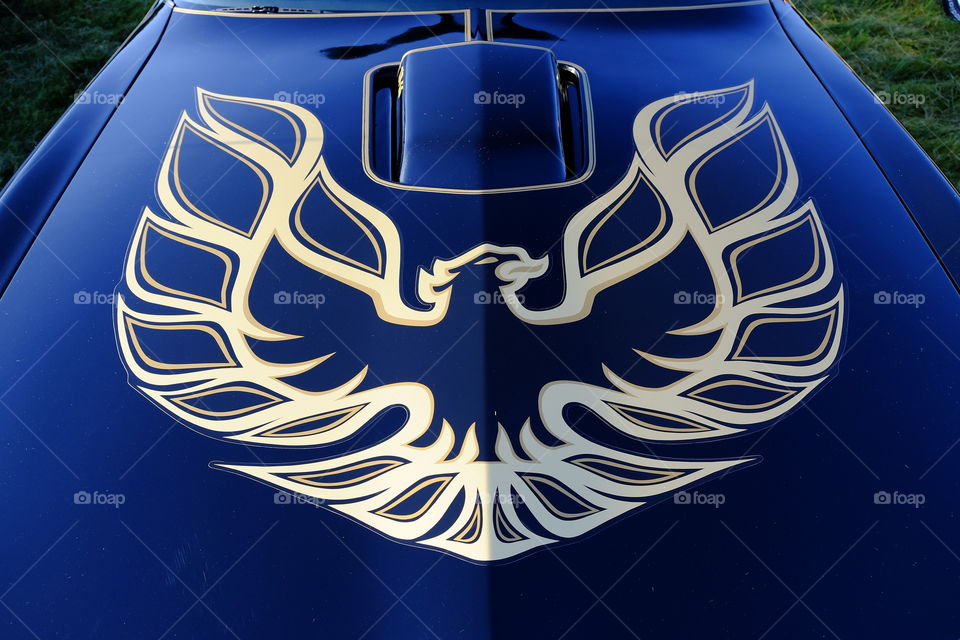 Firebird 