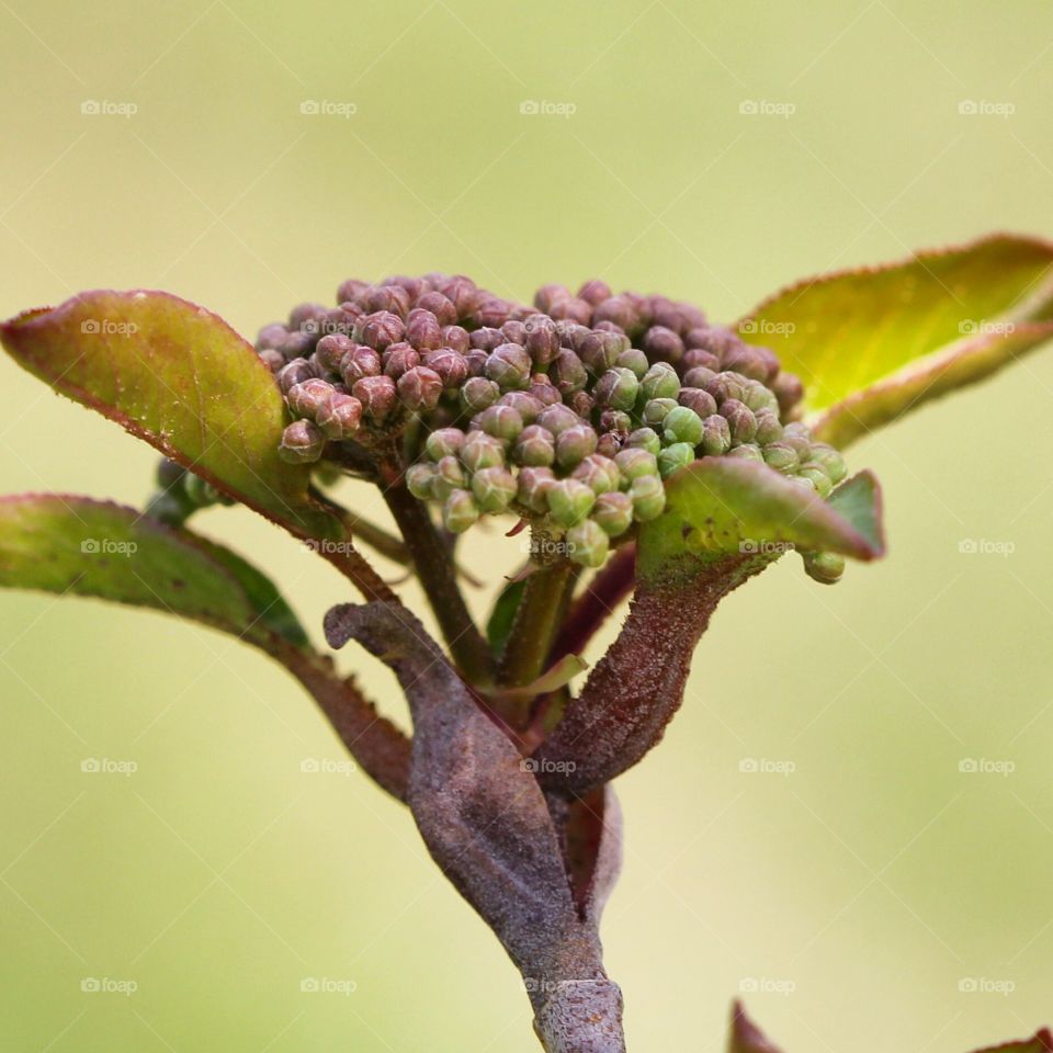 Spring has brought signs of life to nature 