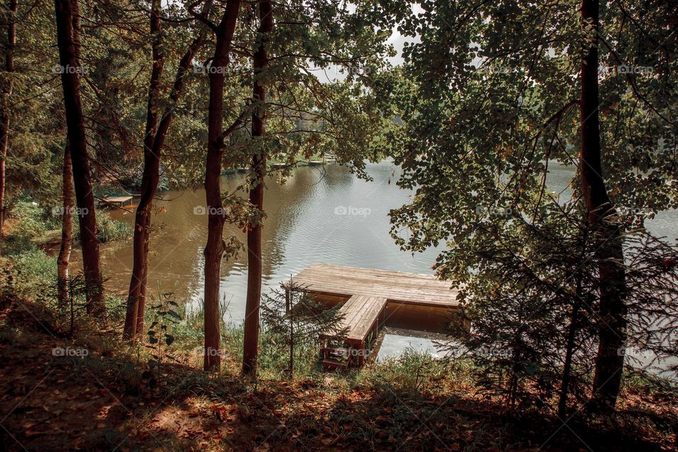 Summer landscape with pond