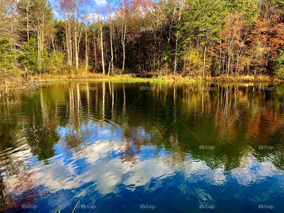 Autumn foliage reflecting and rippling in pond