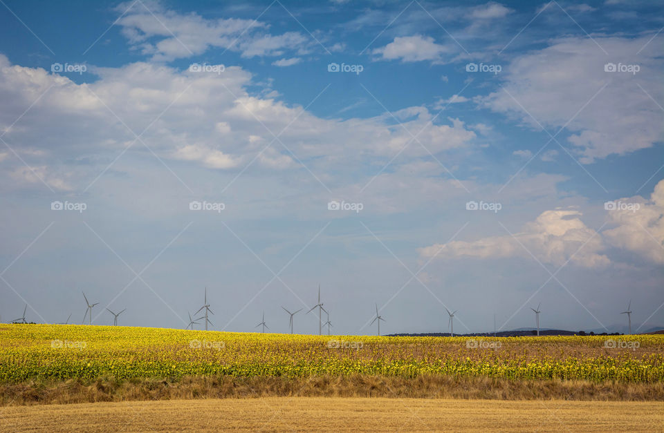 Windmills