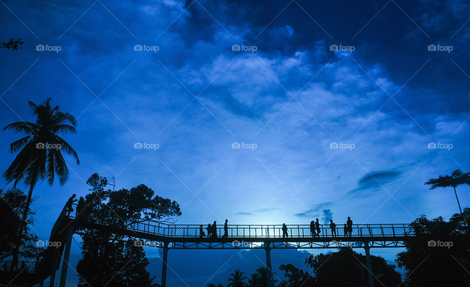 Silhouette On Bridge