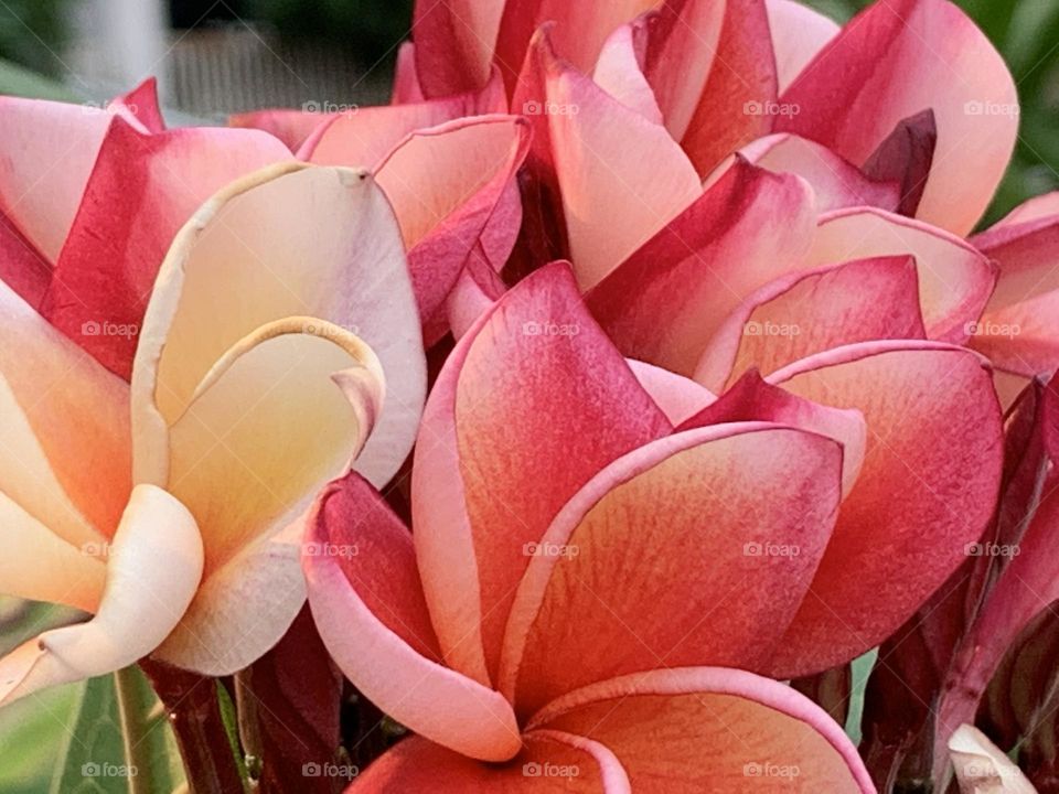 Editors’ choice: Photo of the week, Countryside.