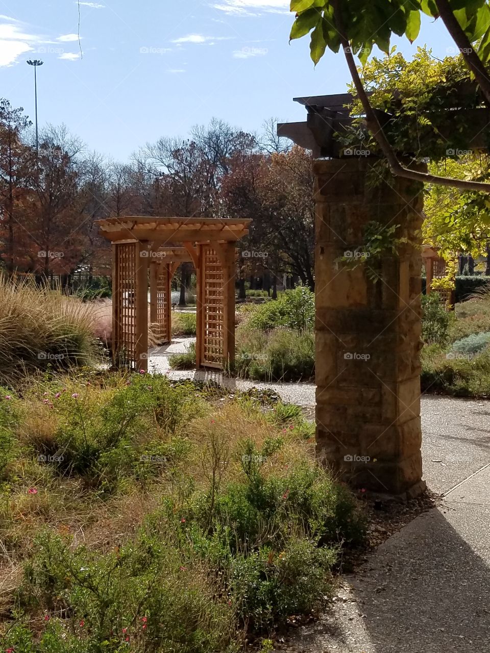 Fort Worth botanical gardens