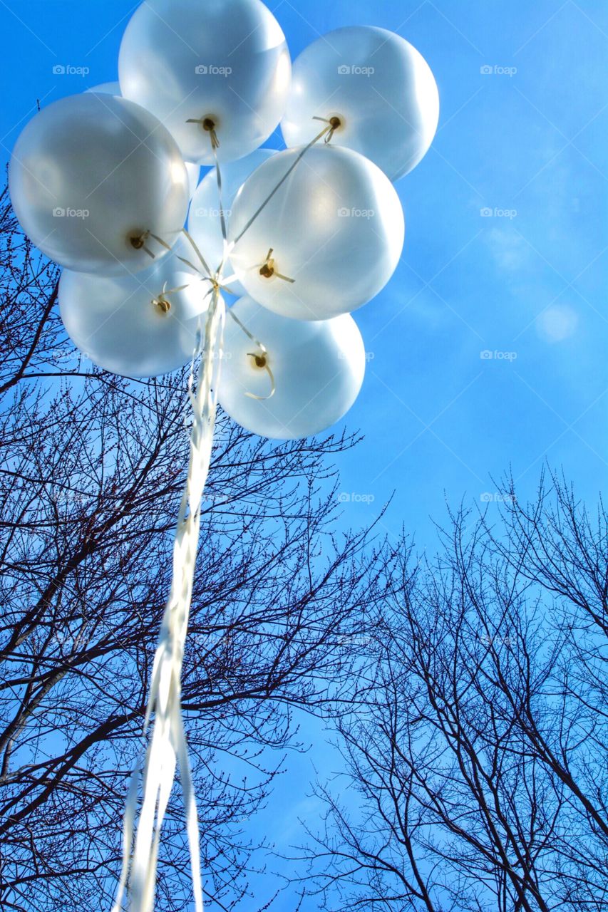White Balloons with Bare Trees