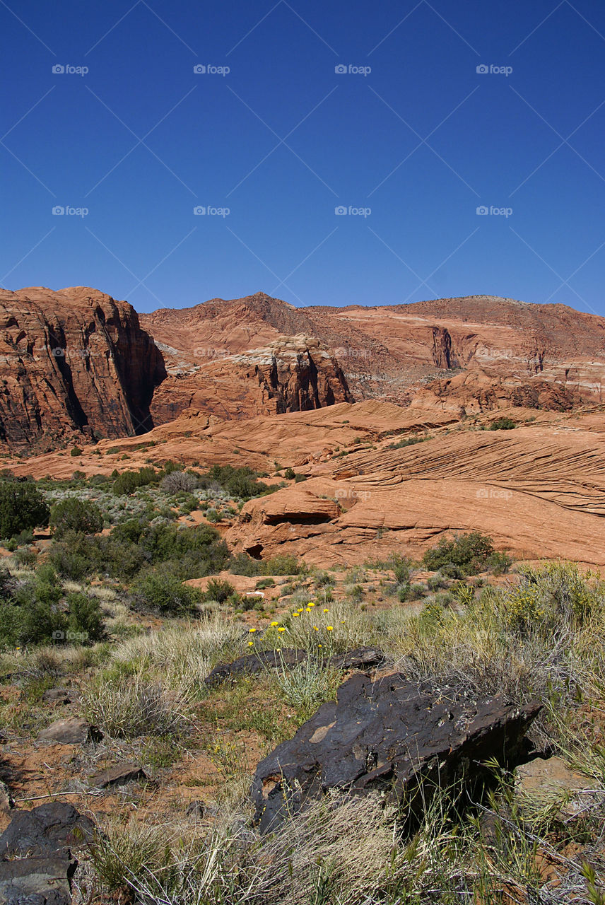 Scenic view of canyon against clear sky