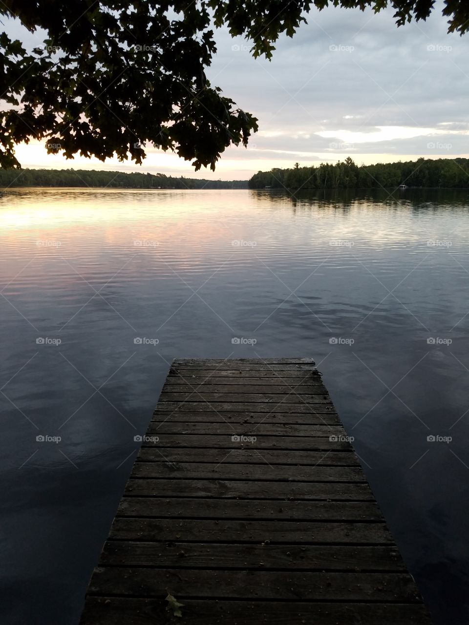 Scenic view of lake at morning