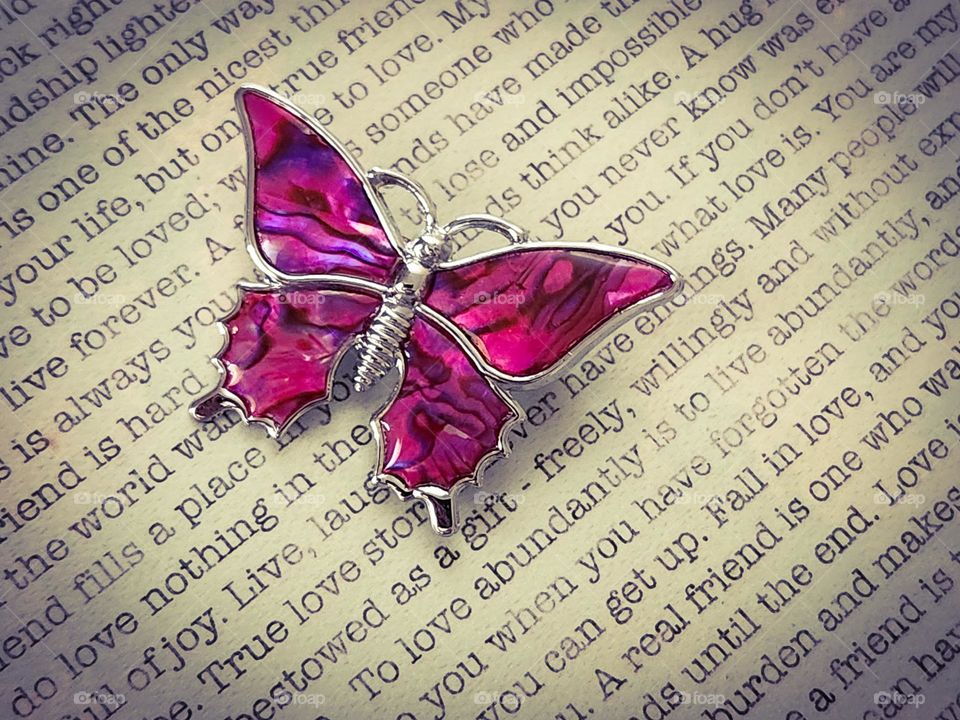 pink abalone shell butterfly hair clip gift from family against background of positive words