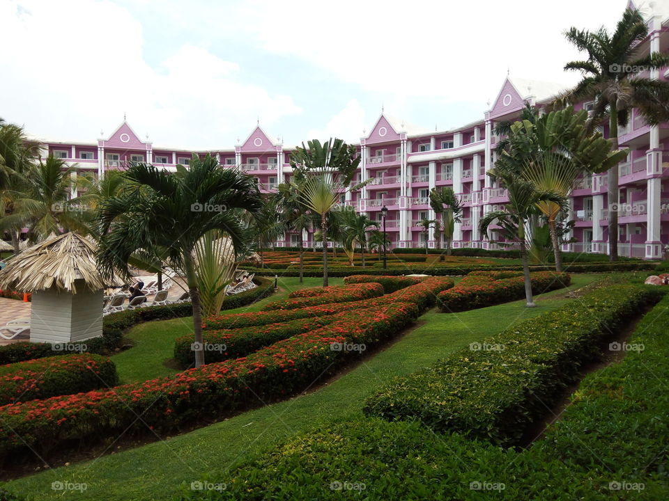 Palm, House, Tree, Luxury, No Person