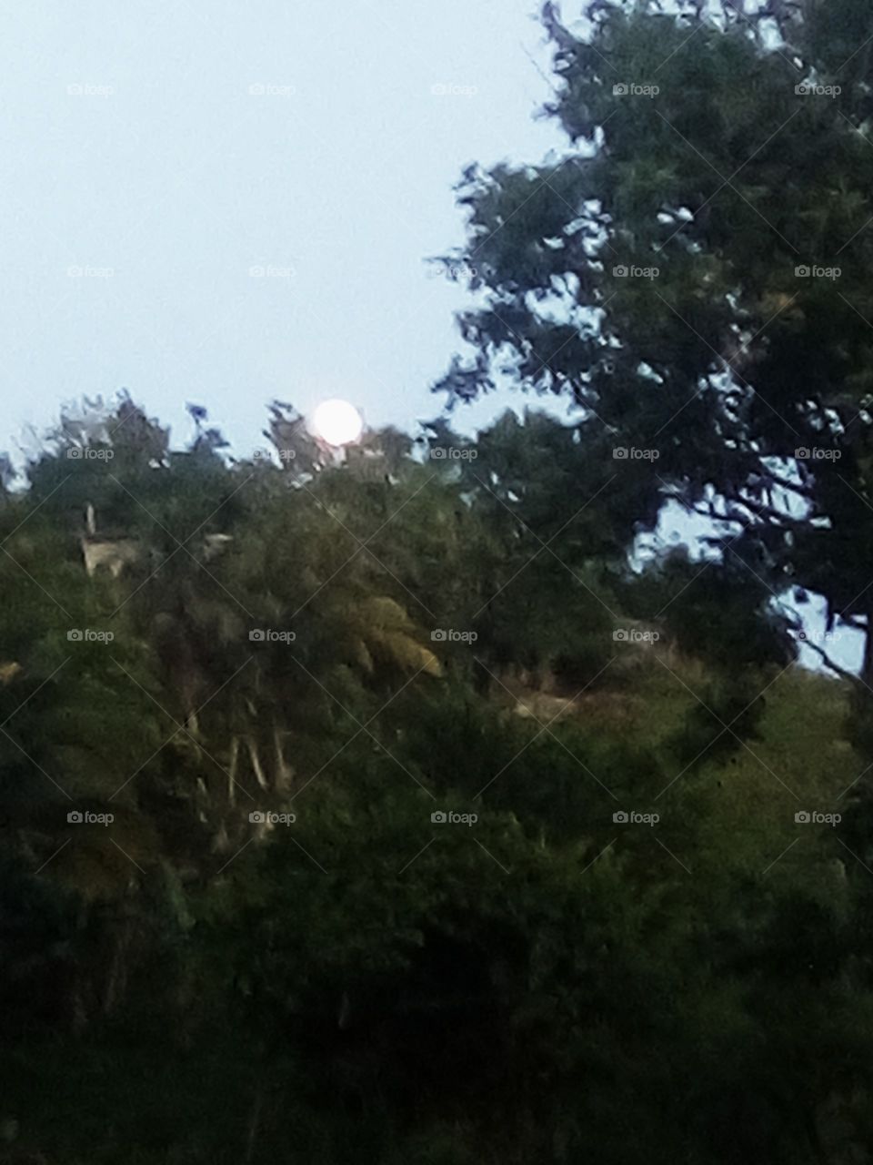 the most beautiful thing you will ever see just want you to take a good look at this moon .