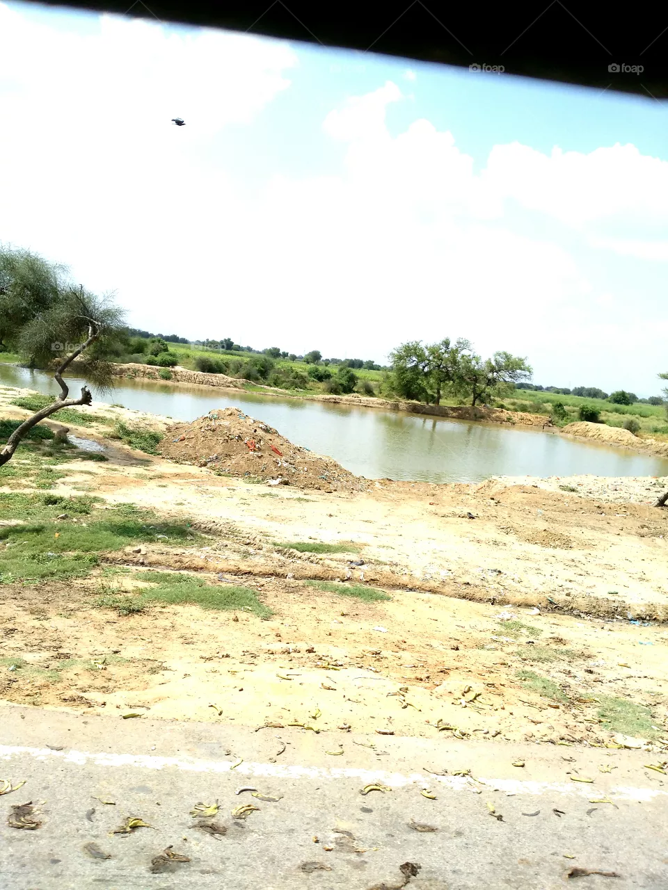 water