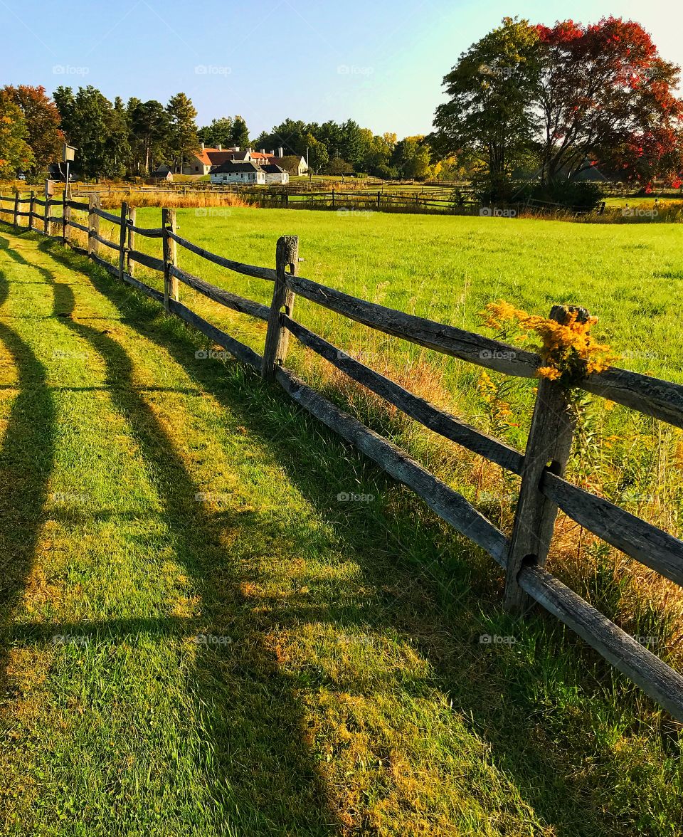 Knox farms horse stables