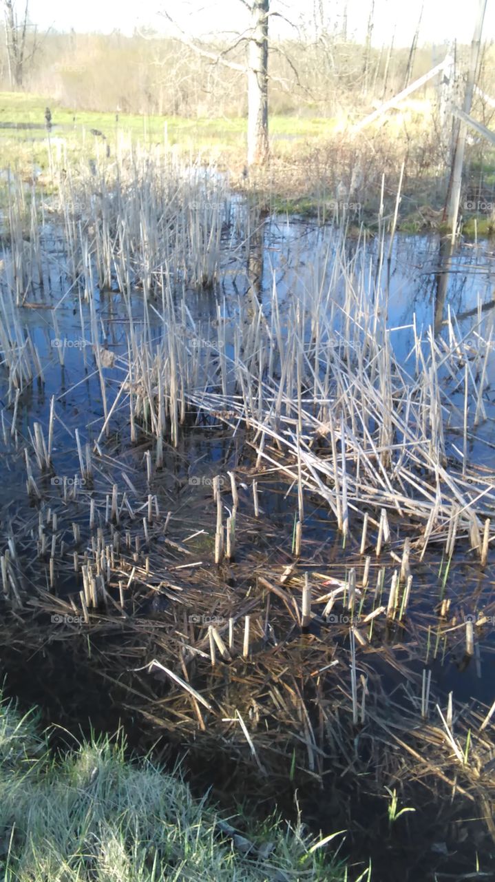 ditch while out on a walk