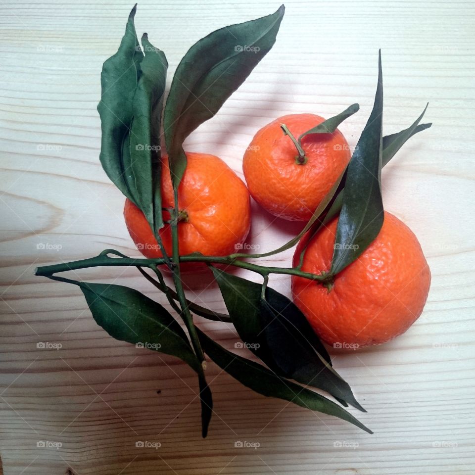 Clementines with leaves. Clementines on twig with green leaves