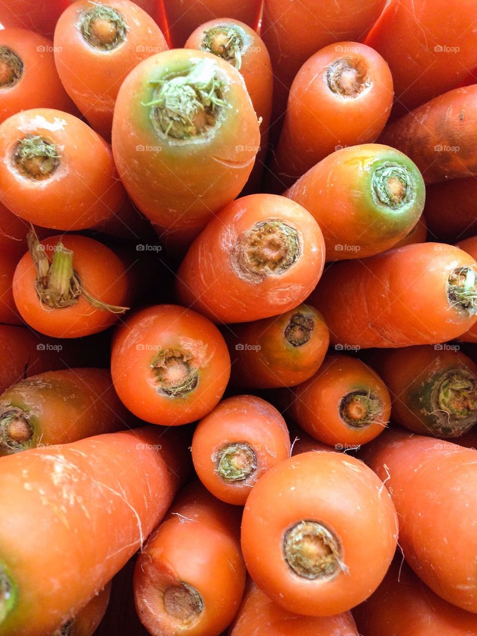 Close-up of orange carrots