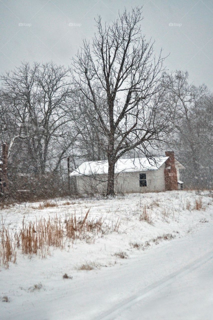 Snowy Path to Home 