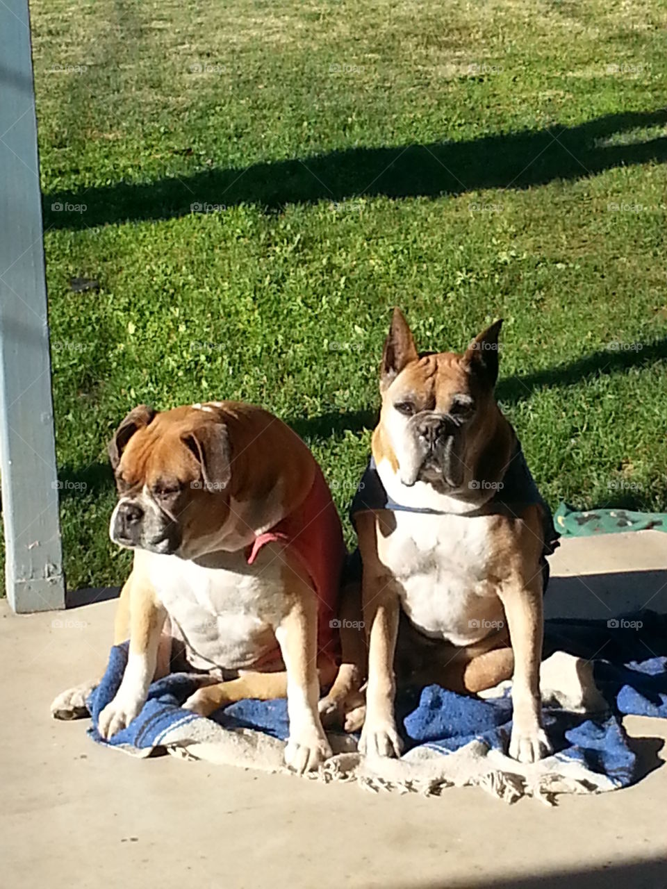 old married couple sunning themselves