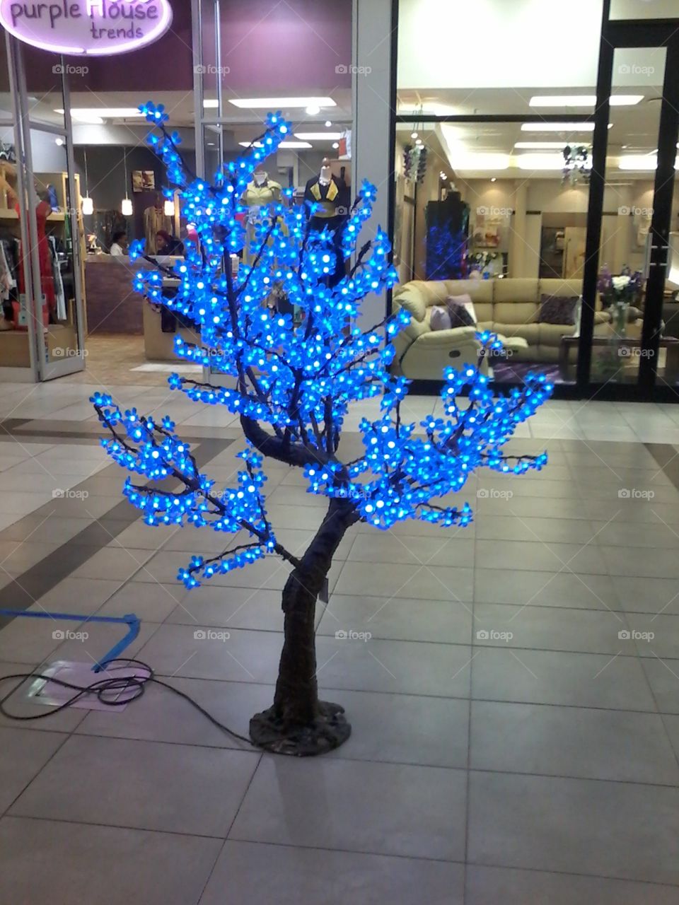 Blue tree