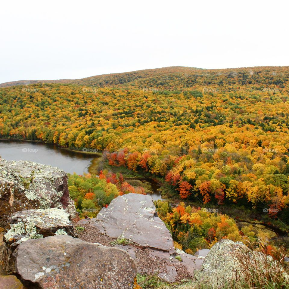 A cold Autumn day in the upper peninsula of Michigan in October. leaves are incredibly colorful on a cloudy day.