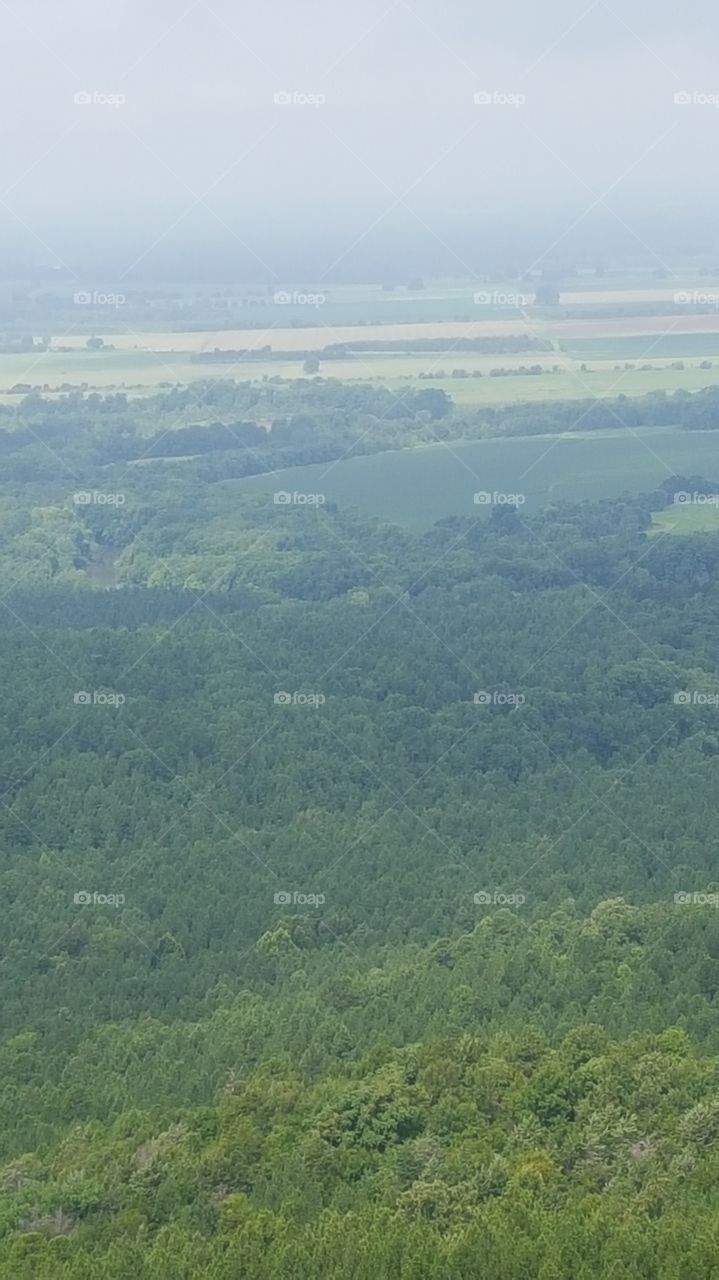 no words for this view!