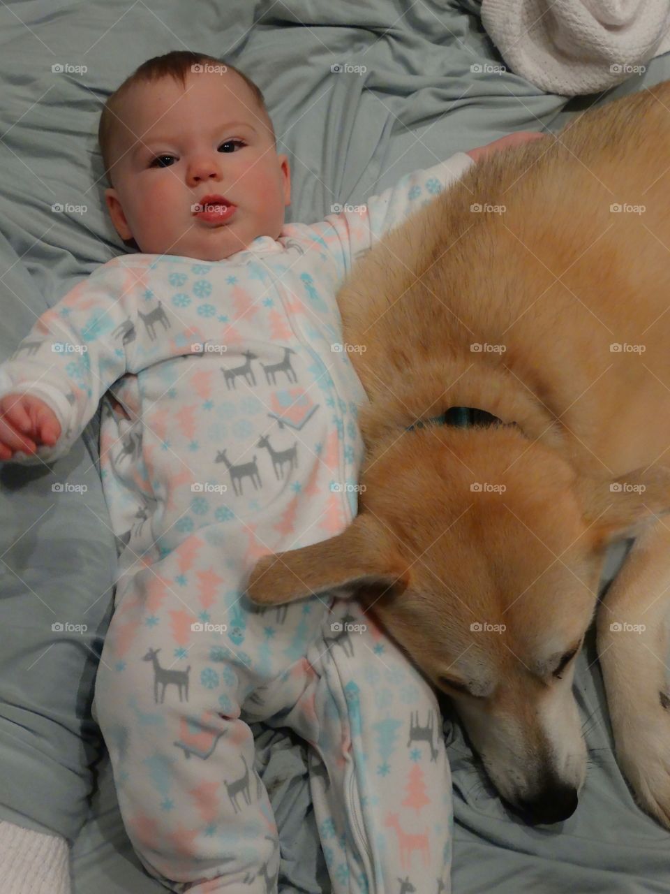 Loyal Dog With Baby Girl