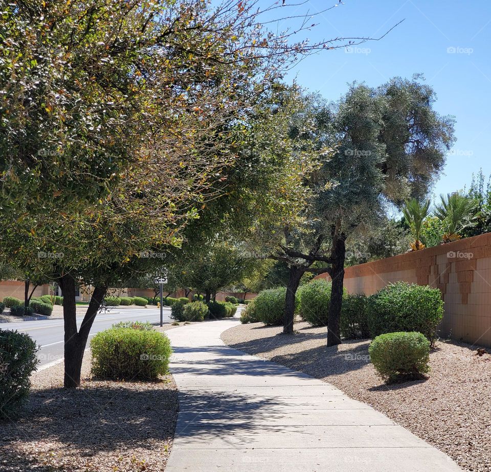 Walk on a Spring Day