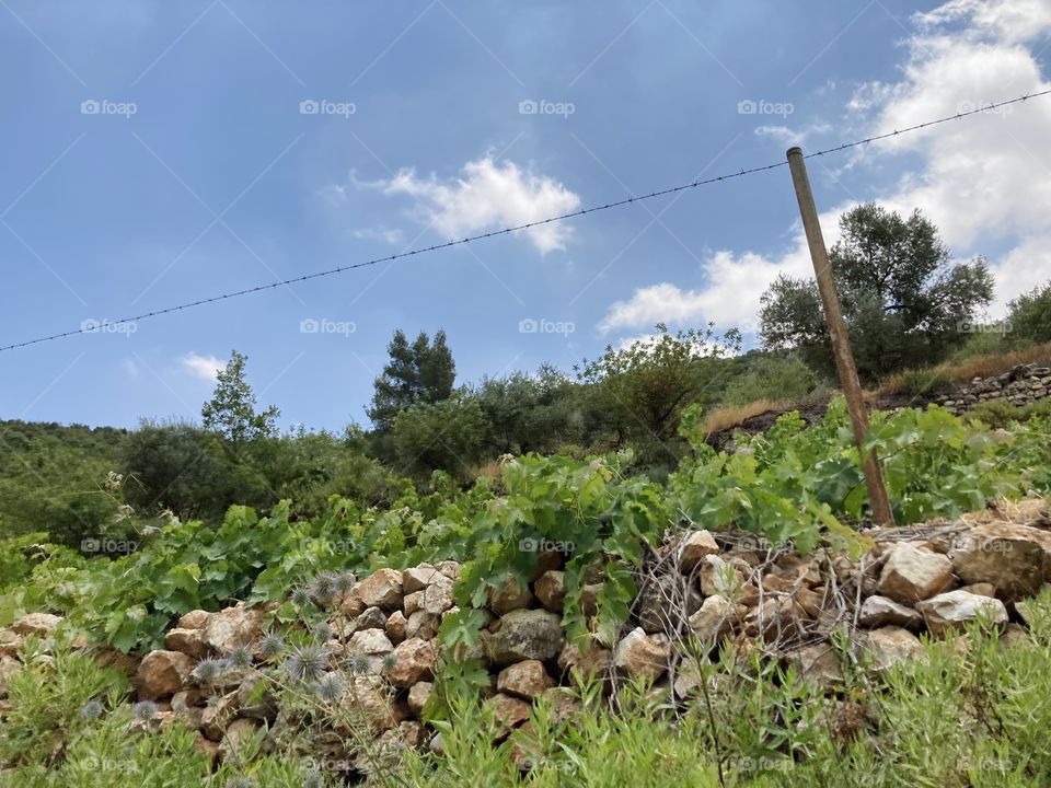 The beautiful nature of Jordan