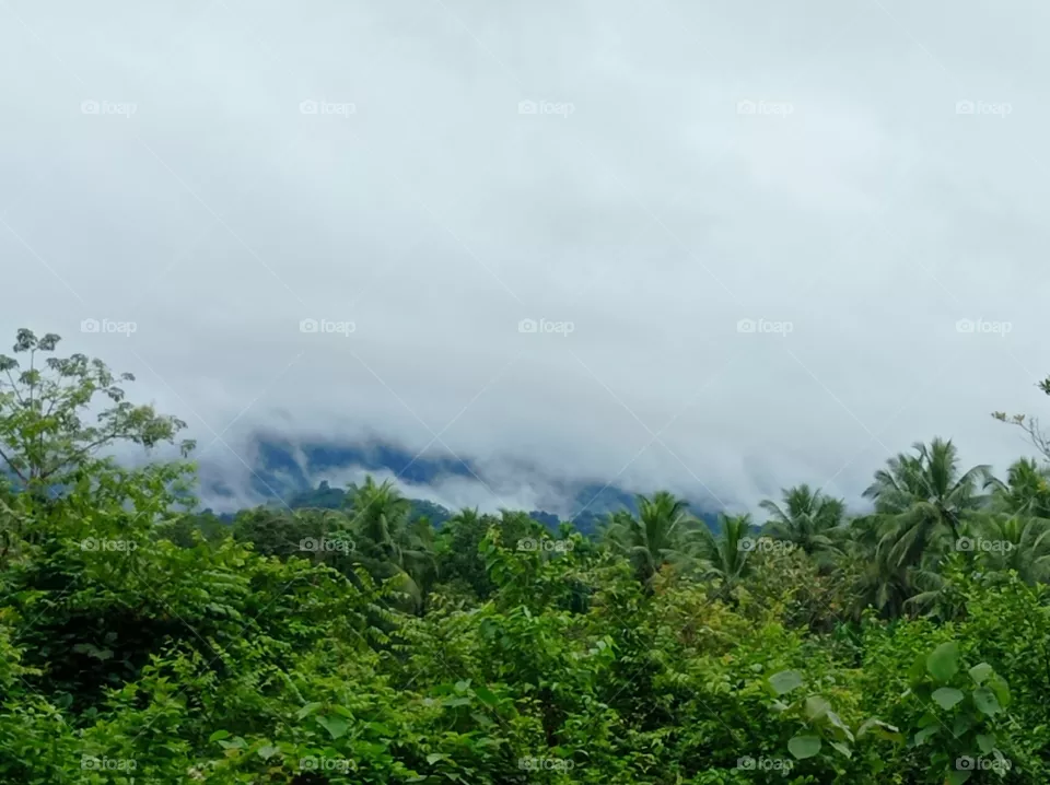 rural