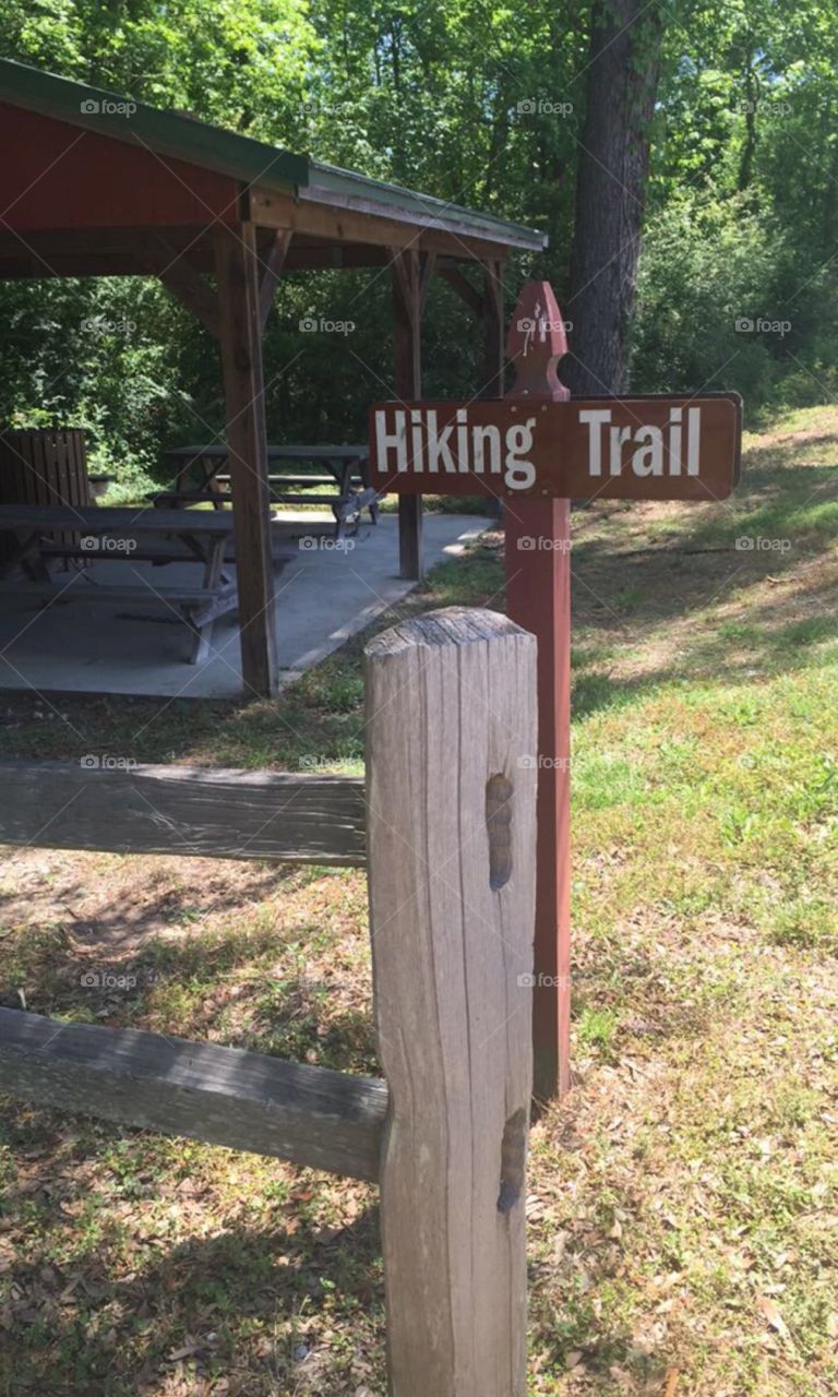 The sign points you to what you think will be “ just another walk in the park”. The deceptive brown sign will lead you to the “Journey of a Life Time “