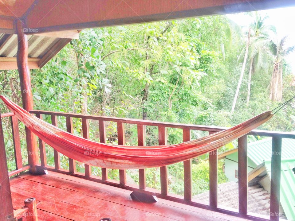 Hammock life in the trees 