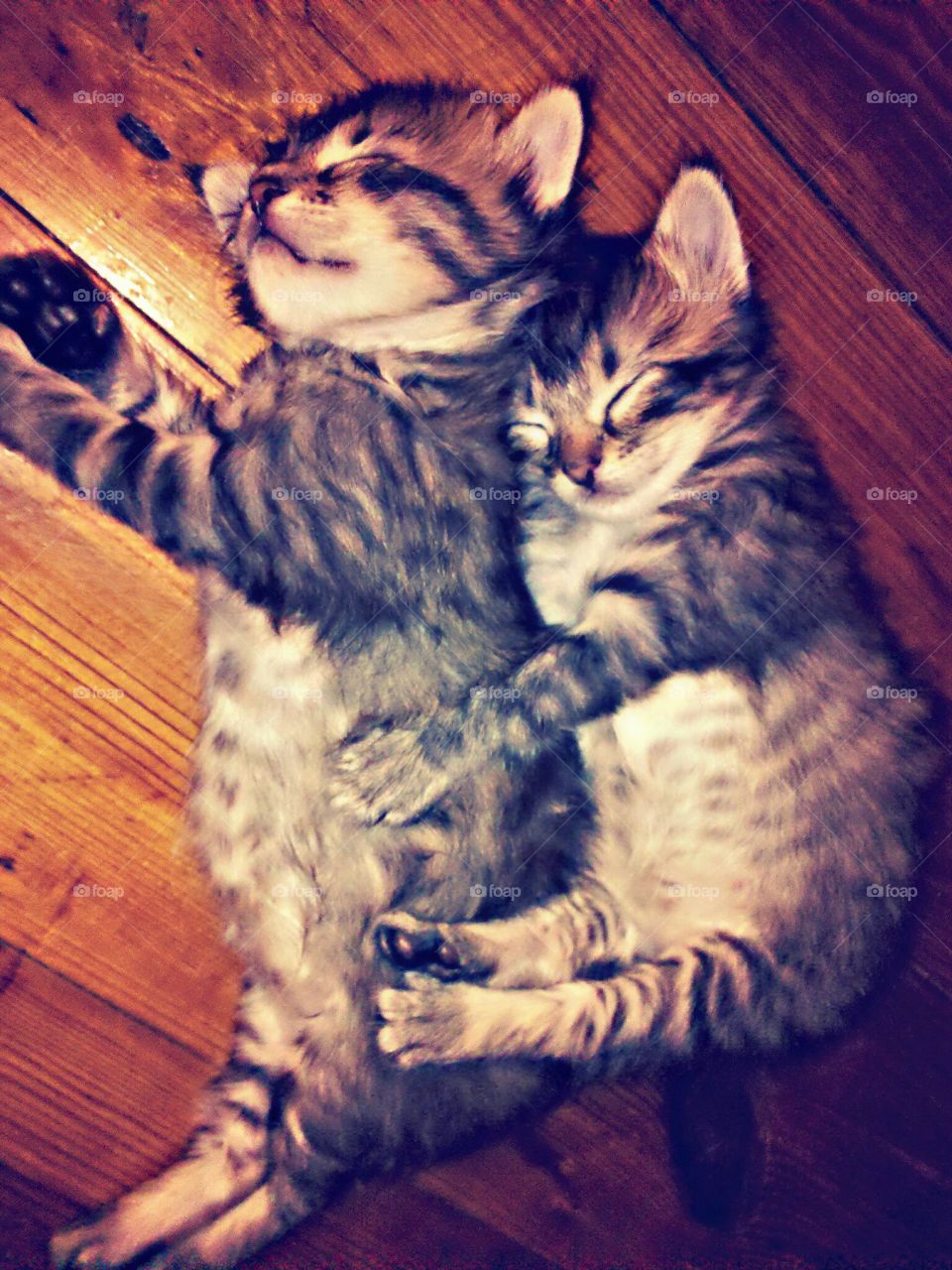 Brother And Sister Twin Ki