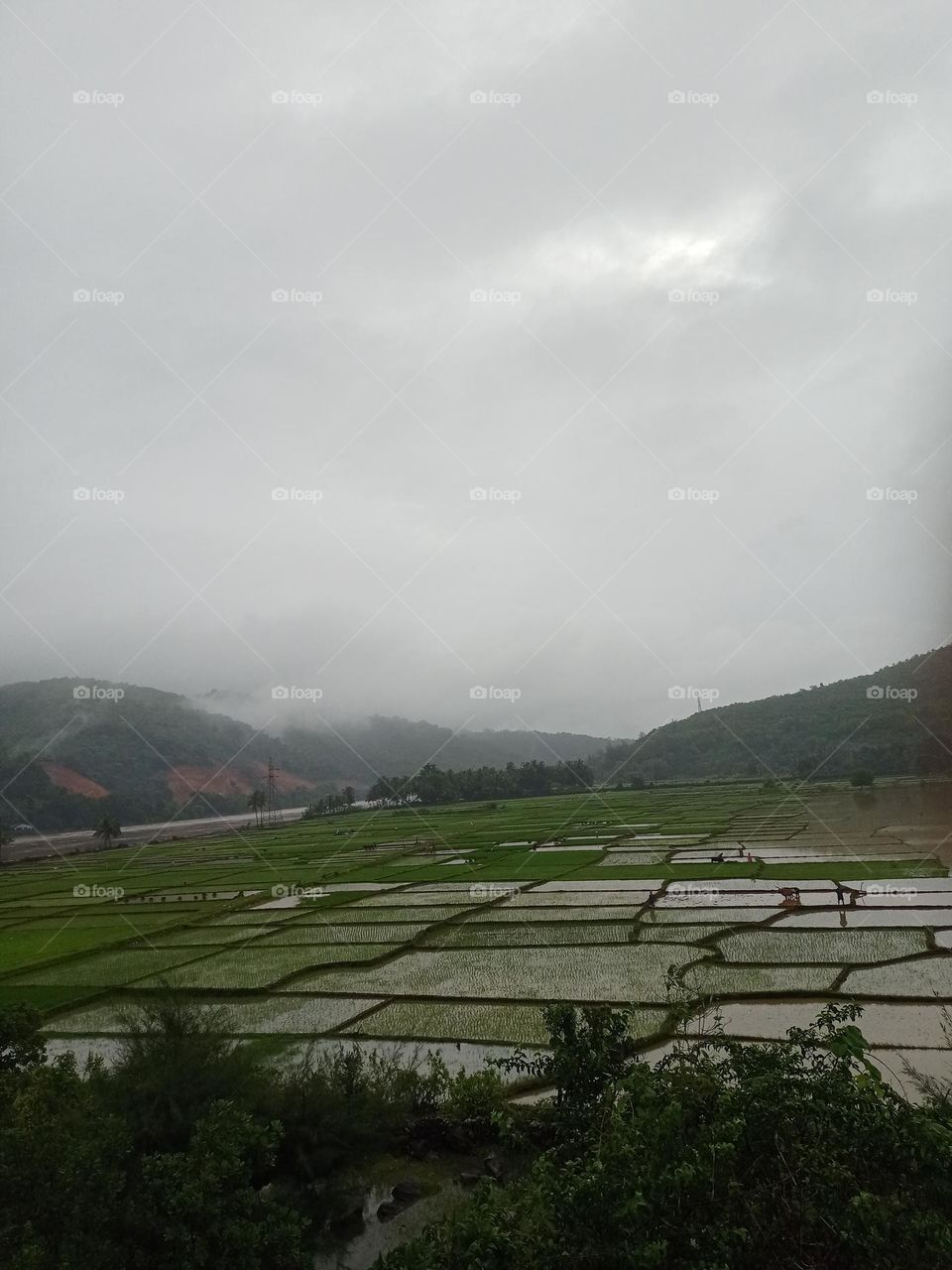 Beautiful view of agriculture in rainy season with cloud nature photography