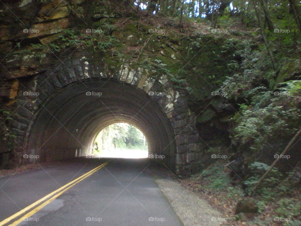 Mountain road tunnel . Gatlinburg, TN 