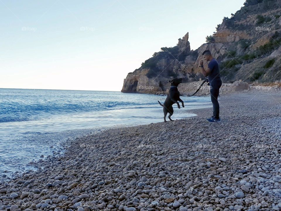 Beach#sea#human#dog