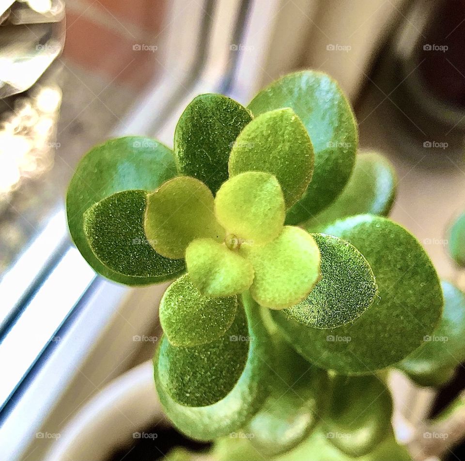 Higher and higher 🤷🏻‍♀️