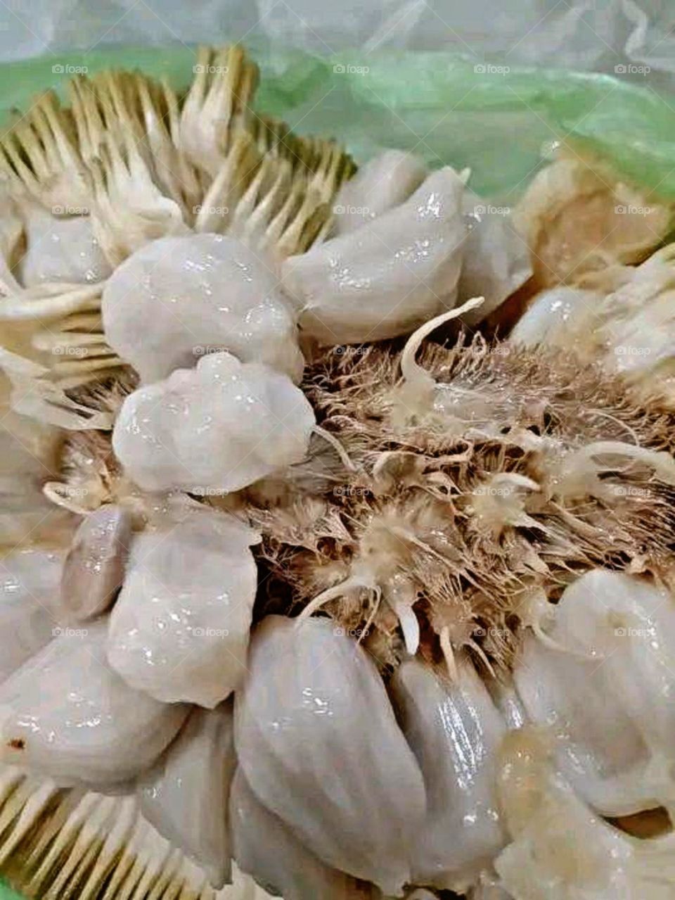 A beautiful and attractive view in the garden.