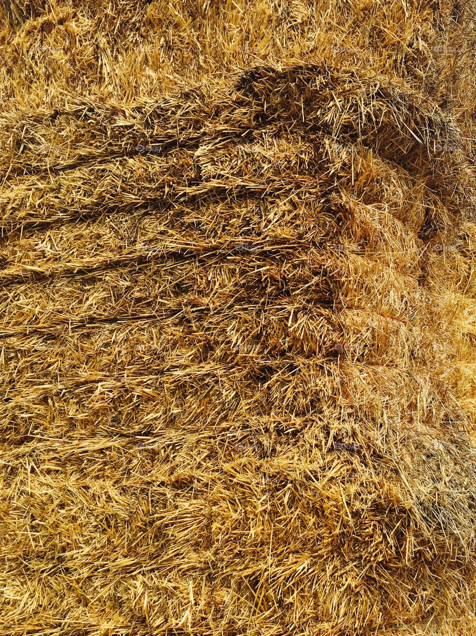 Hay texture 