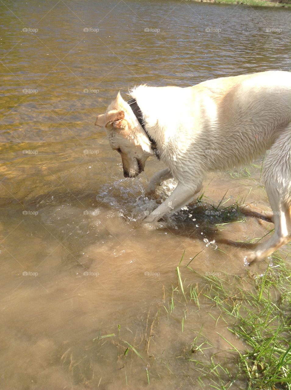 Capturing some river fun.