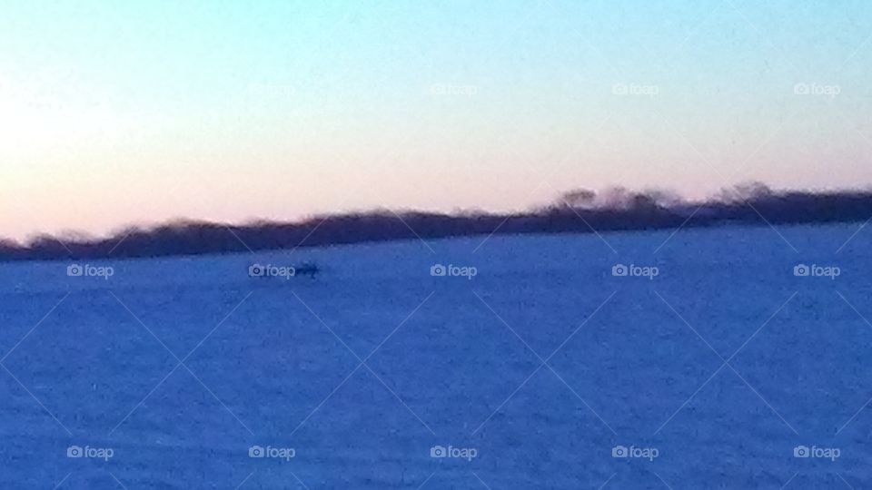 Landscape, No Person, Water, Lake, Winter