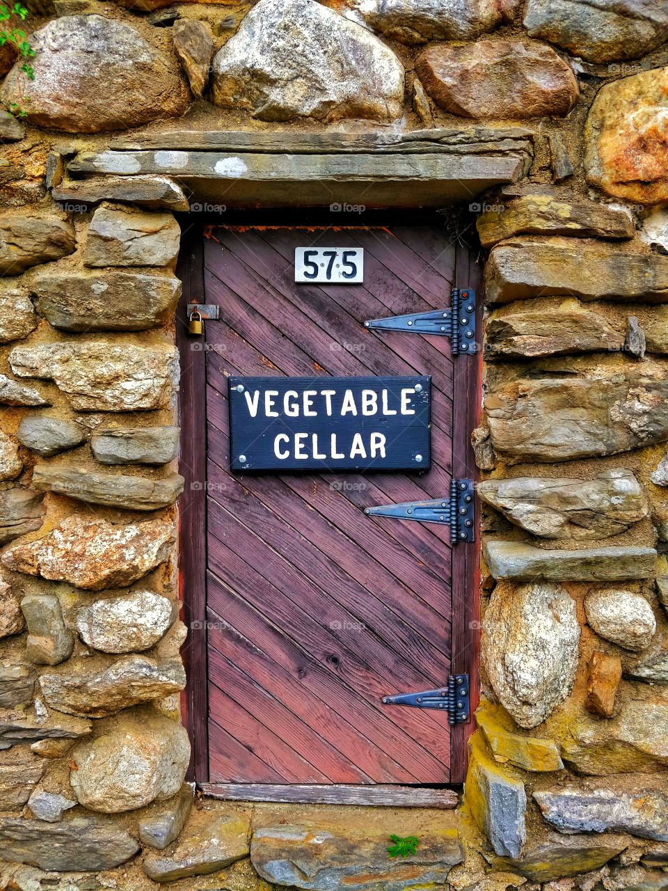 vegetable cellar
