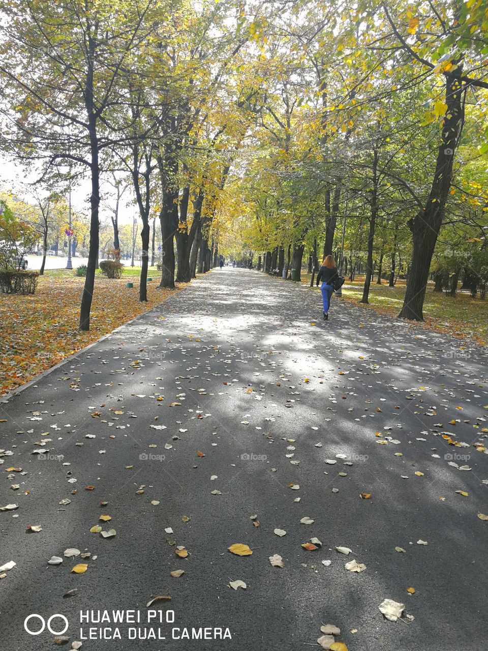 Autumn in the park, walk among the leaves