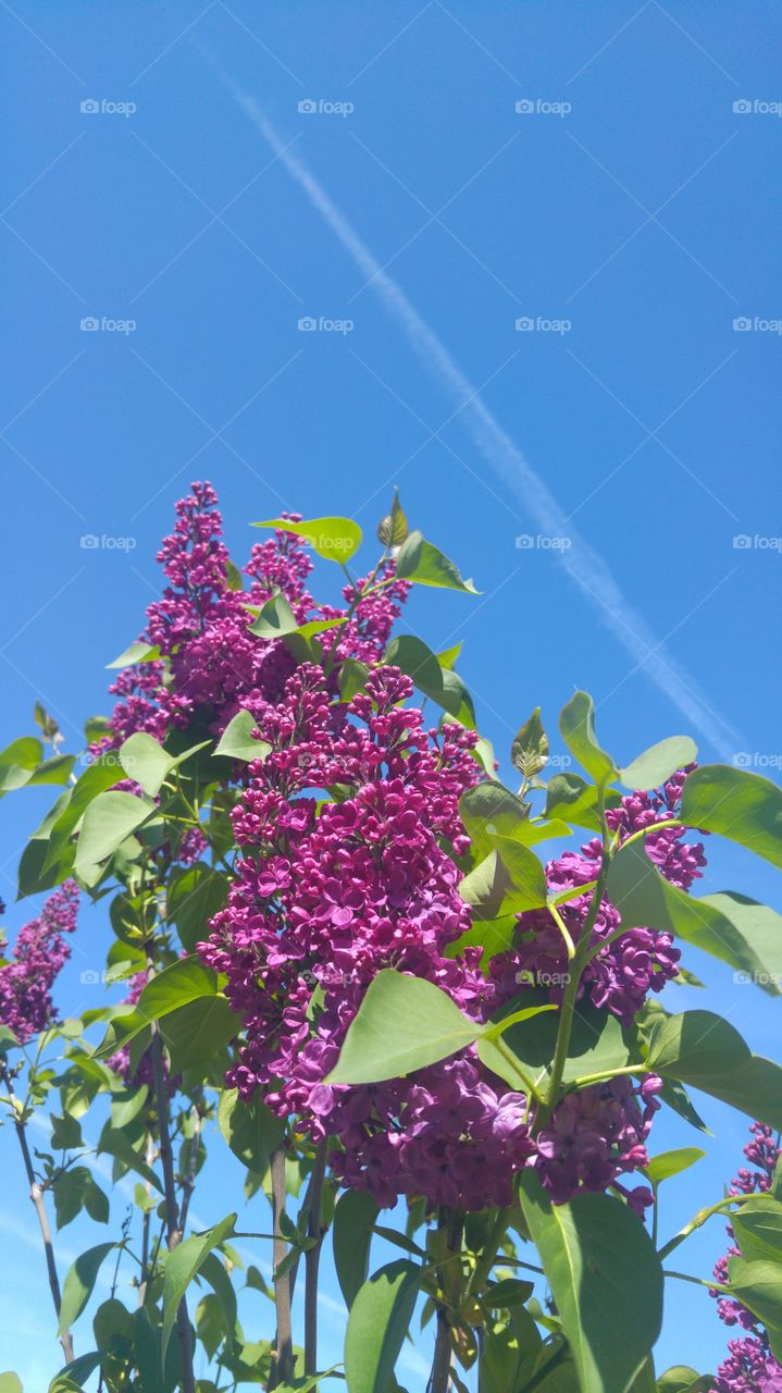 All good things... 😉