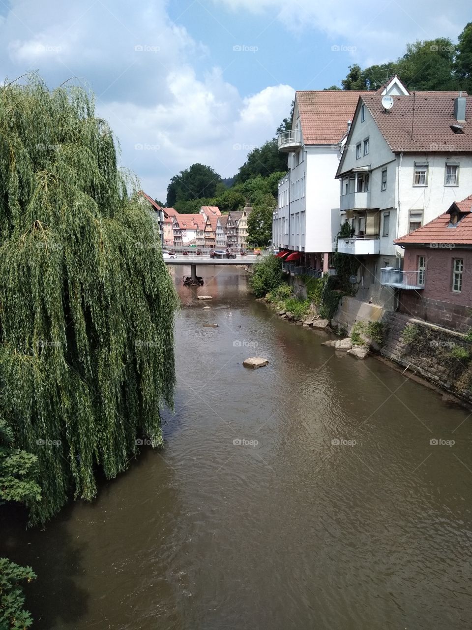 Calw
