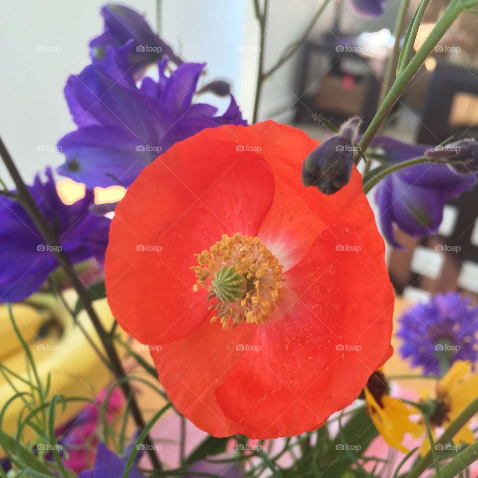 Flowers are made my day