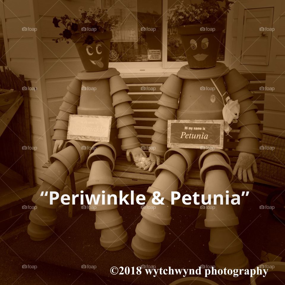 “Periwinkle & Petunia “
