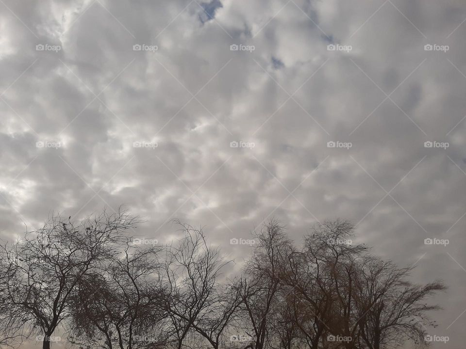 Please make me happy, I am poor, I need your help with support