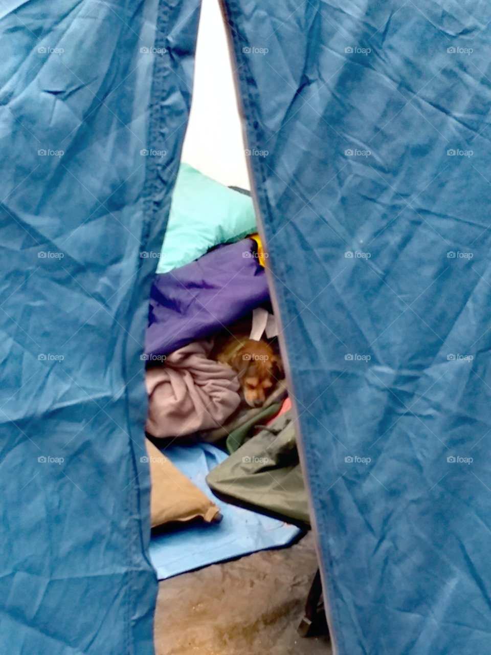 Kepit Stays Warm In The Tent