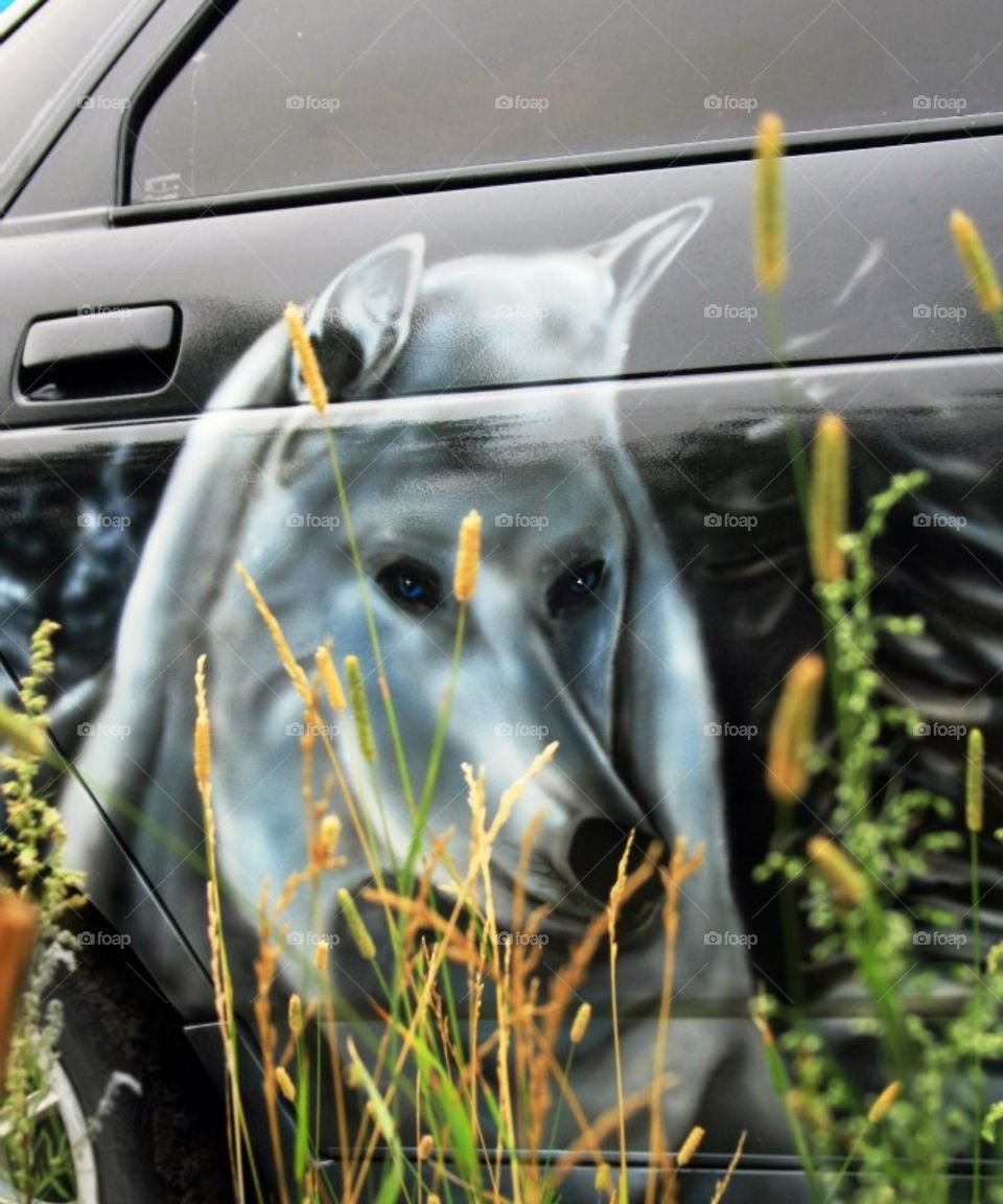 Beautiful graffiti in my city