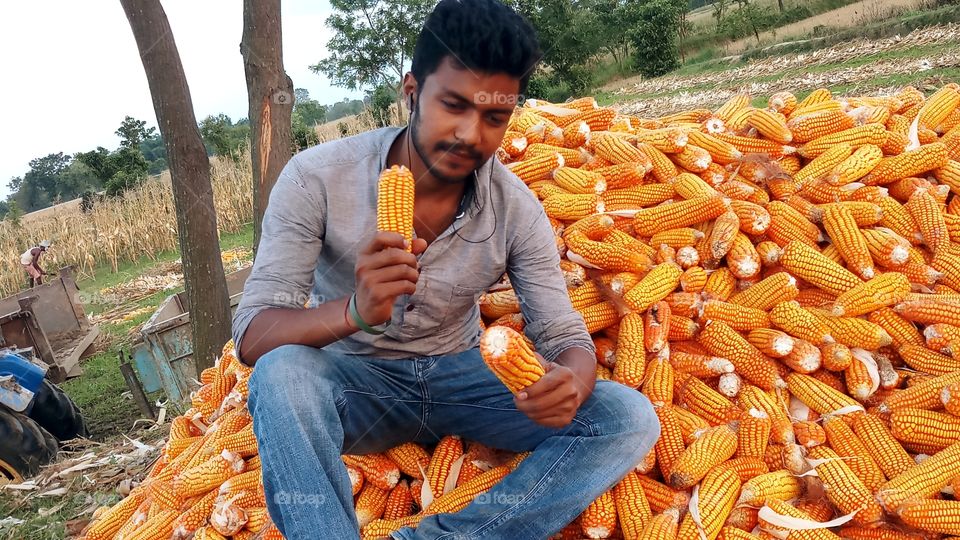 happy farmer with maize