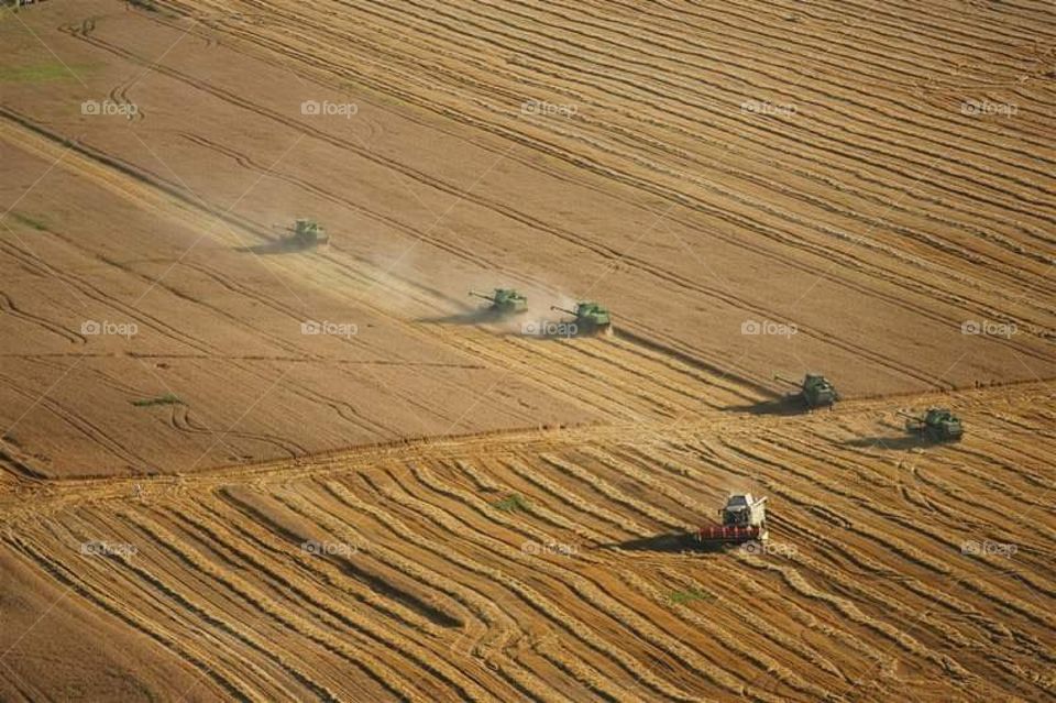 Donji Miholjac Village